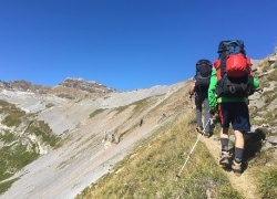 IMG 7085