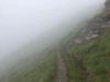 Nebel Weg 800x600